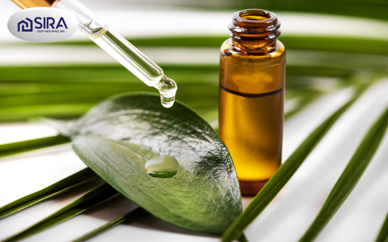 Dùng dầu gió xanh để xóa vết sơn nước dính trên quần áo