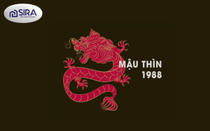 Tổng quan về gia chủ tuổi Mậu thìn 1988